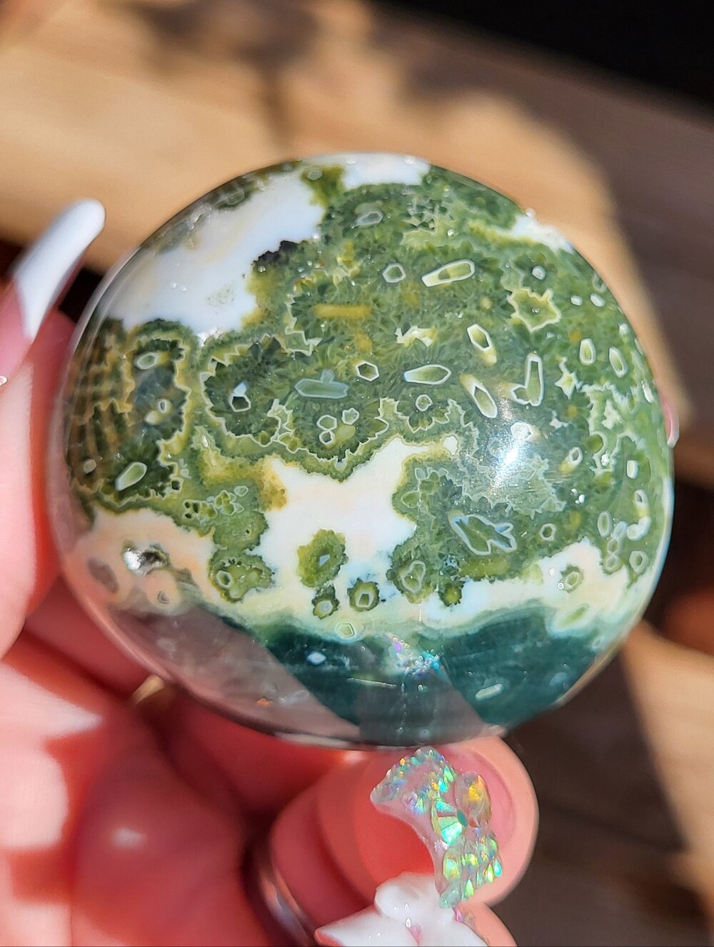 Ocean Jasper Palm